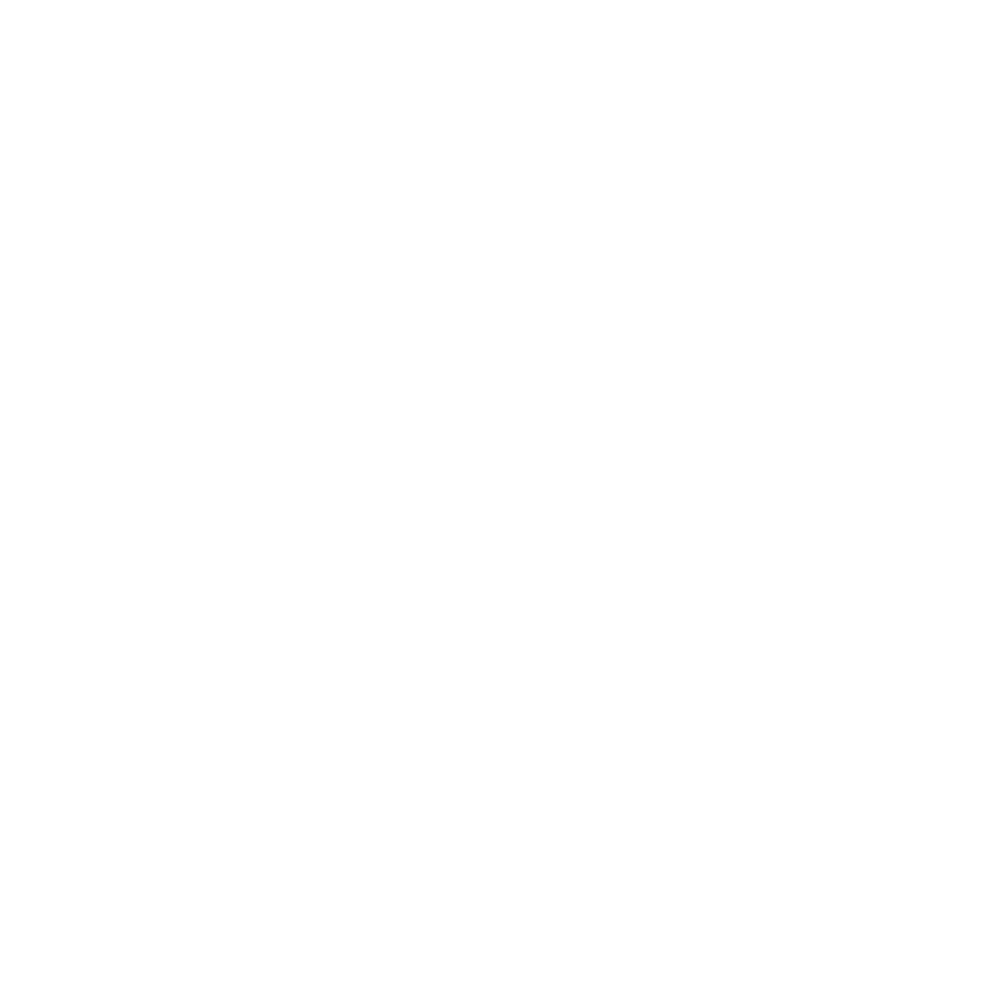 Customer Care Service Icon