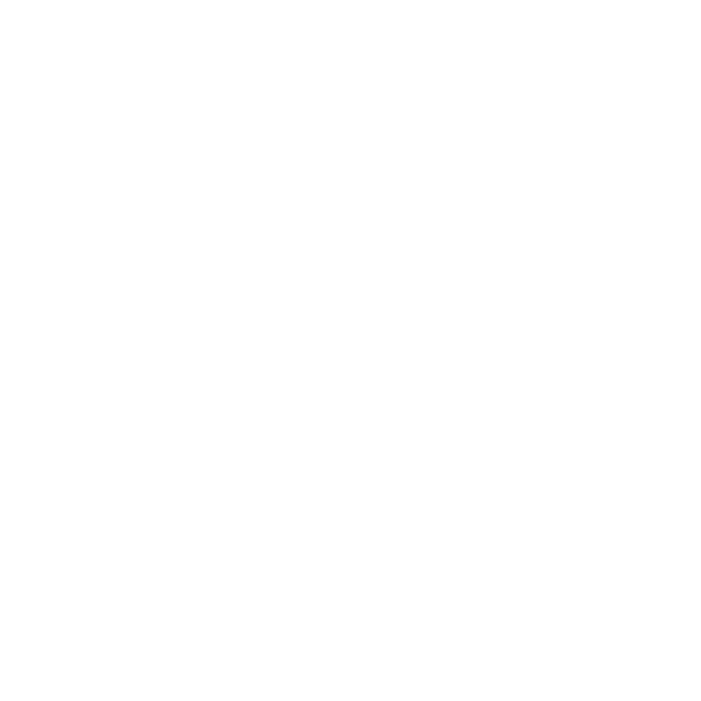 Digital Marketing Icon