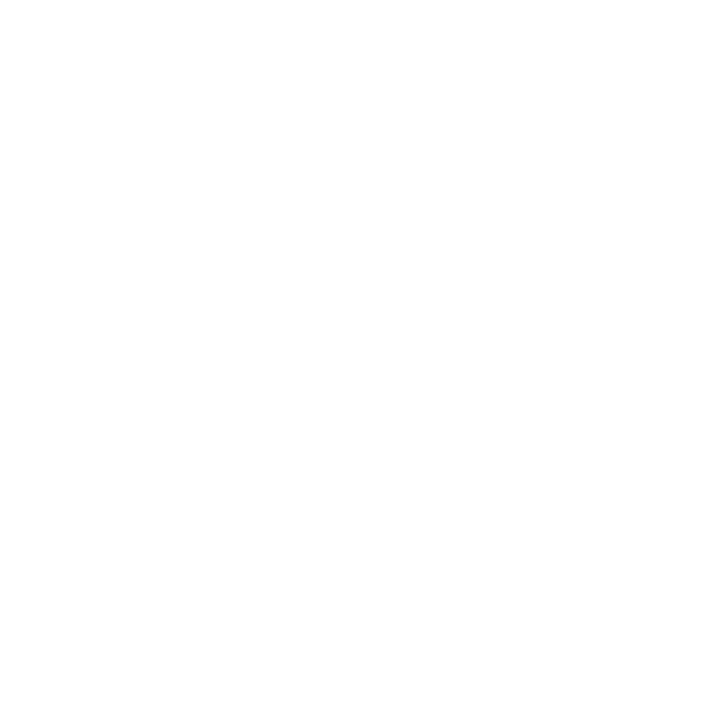 Denial Management Services Icon